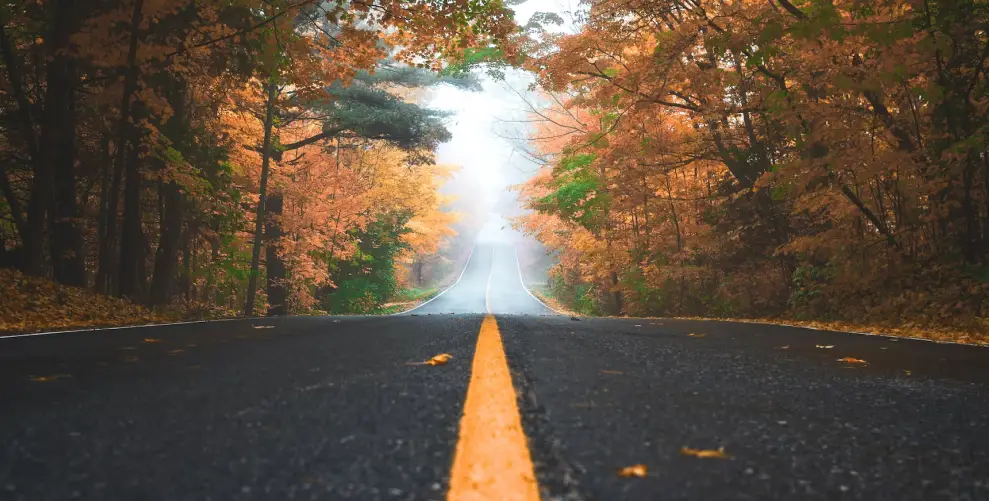 career journey