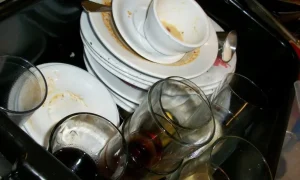 dishes 197 1920